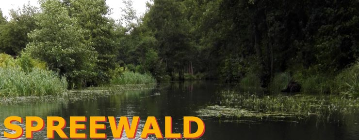 spreewald.saluut.de - Startseite